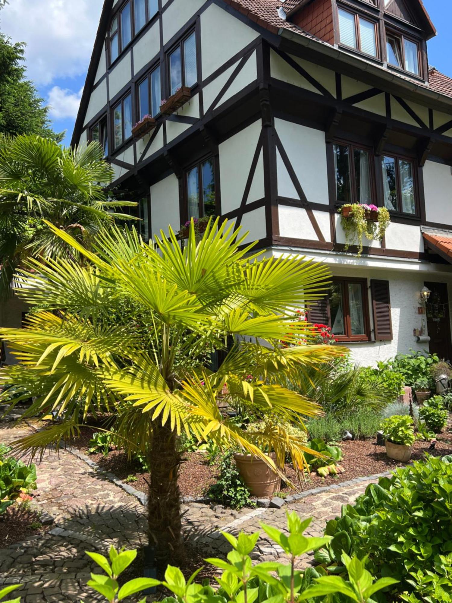 Einliegerwohnung In Einer Muehle Vor Den Toren Frankfurts, Ideal Fuer Messegaeste Oder Stop Over دريش المظهر الخارجي الصورة